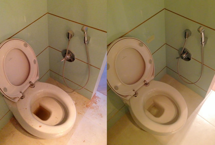 Тоалетна преди и след почистване с прах Сарма