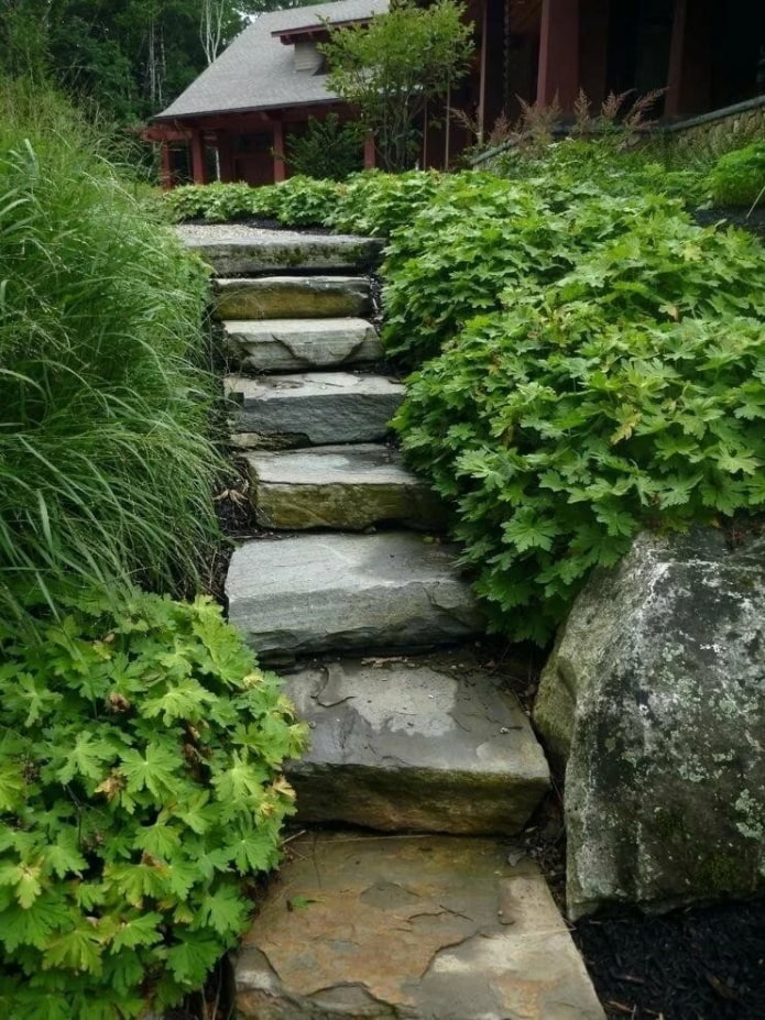 scala in pietra in giardino
