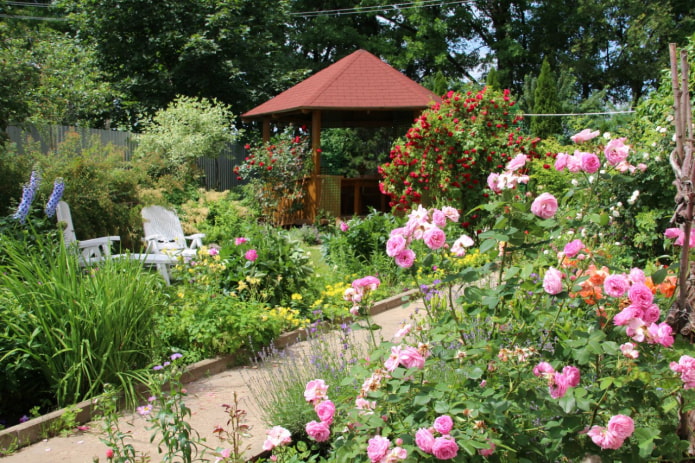 Havepavillon og roser