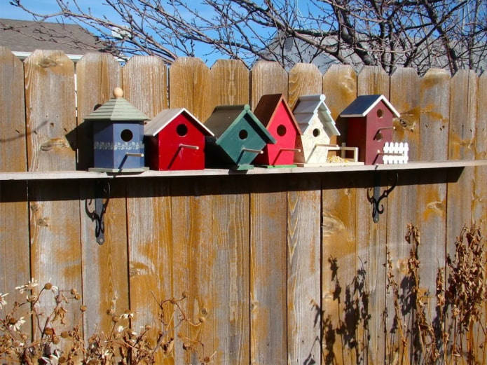 Casele de păsări colorate