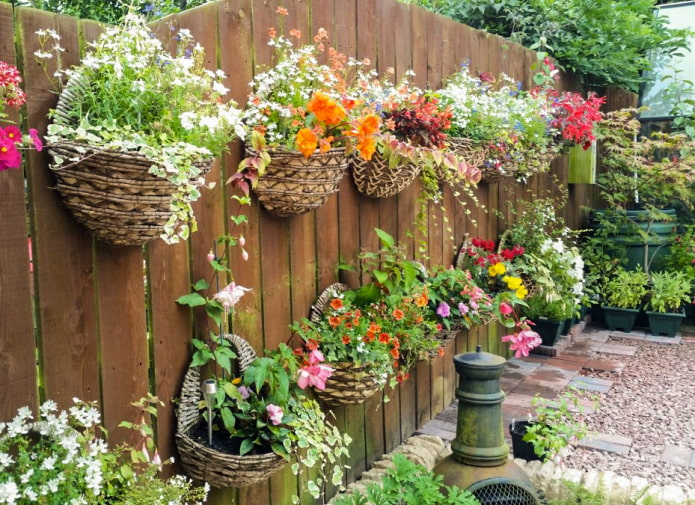 Pot bunga dengan bunga di pagar