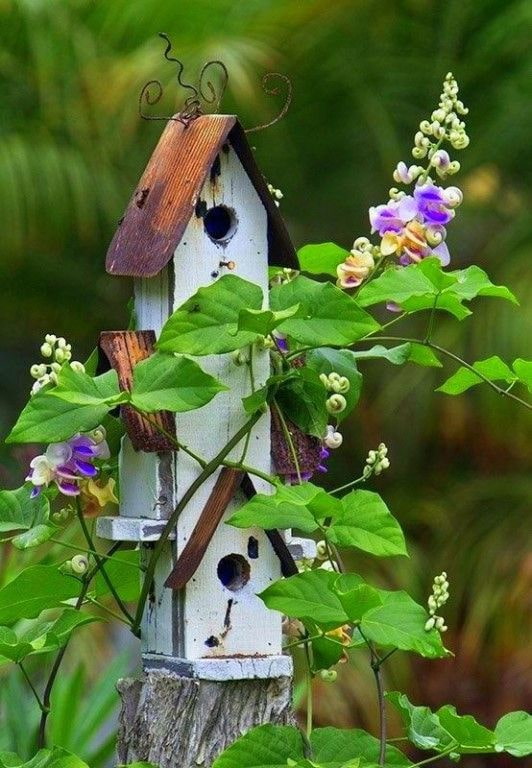 Dekoratif kuş evi