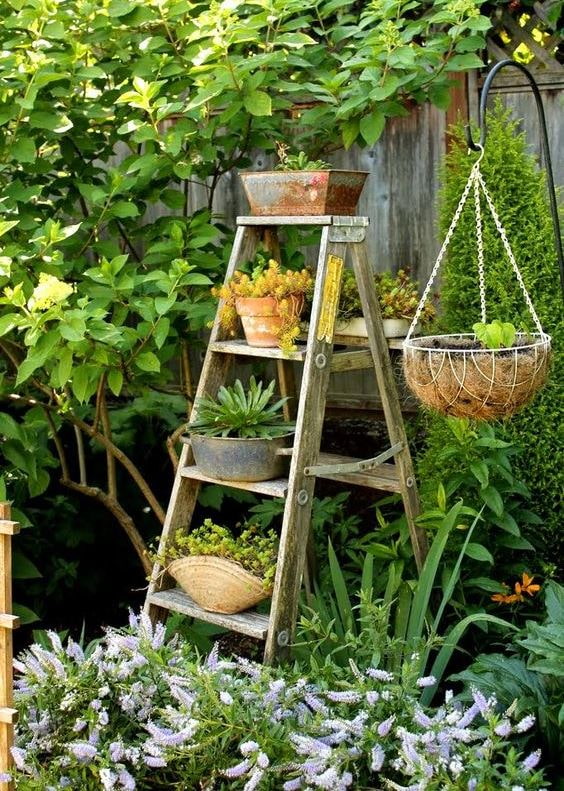 Stepladder with flowers in the garden