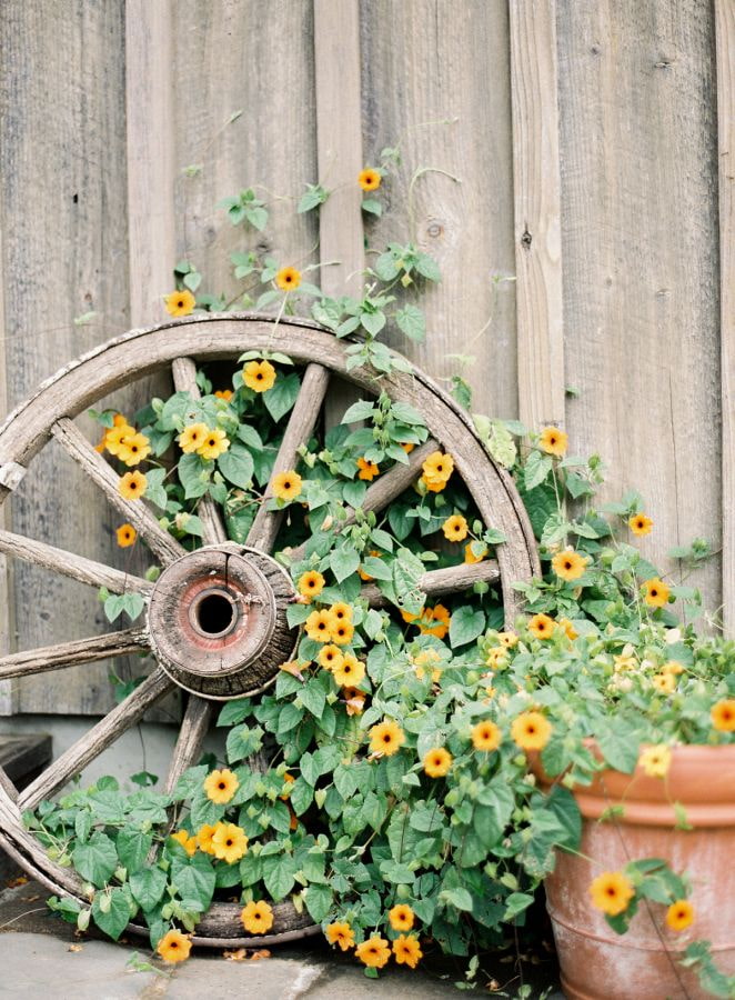 Wheel with flowers