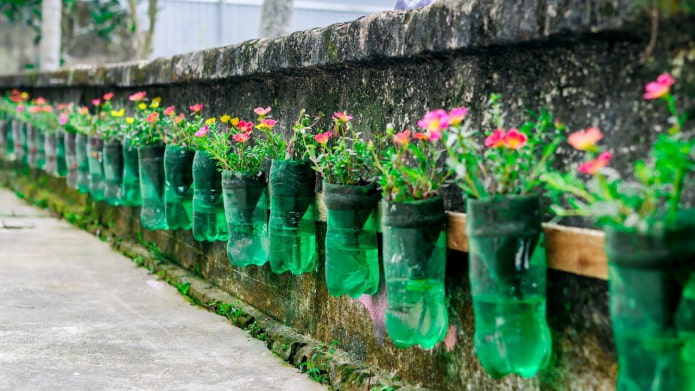 Gėlių lova ant tvoros iš butelių