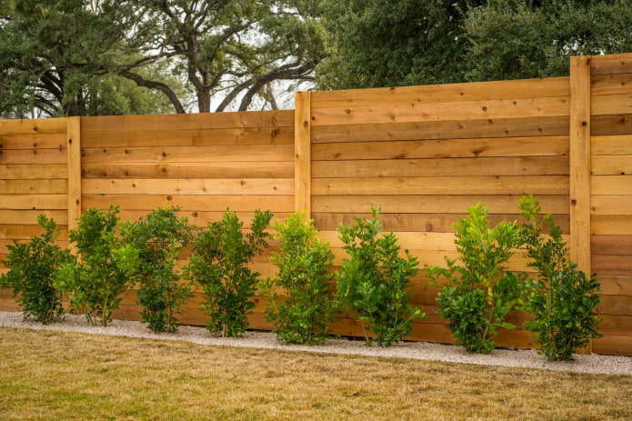 recinzione in legno massello wood
