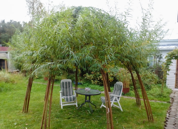 Willow tuinhuisje schaduw