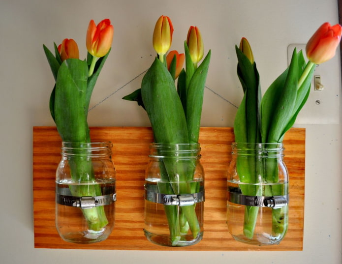 o combinație de vaze de flori de casă din borcane