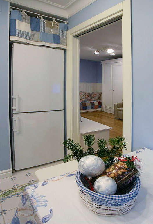 Šaldytuvas ir virtuvės įėjimas