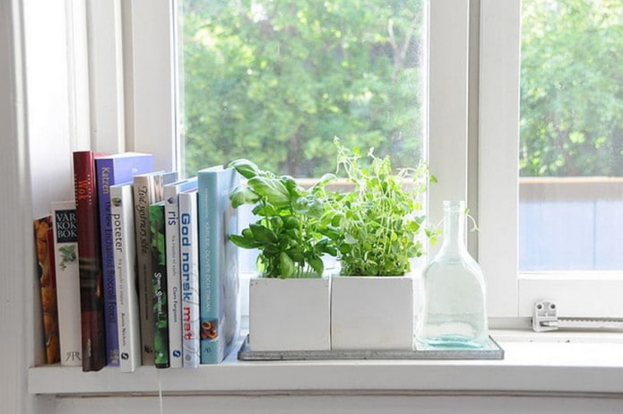 kirjoja ja kasveja ikkunalaudalla