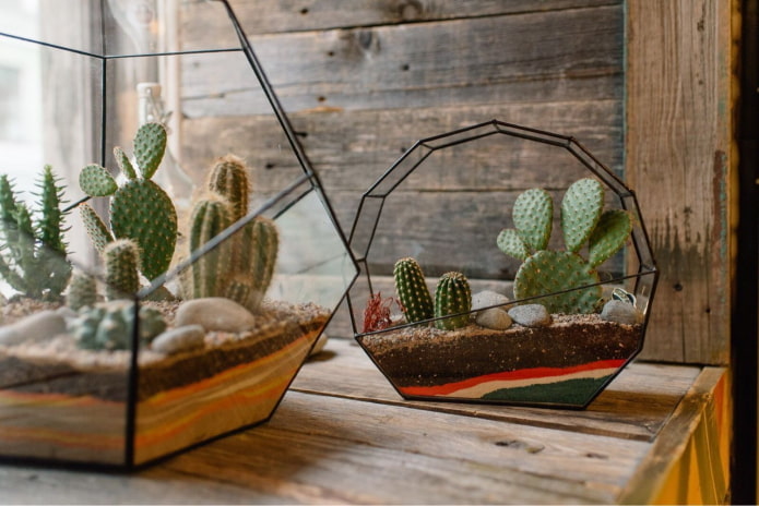 Kaktusy v tvarovaných nádobách