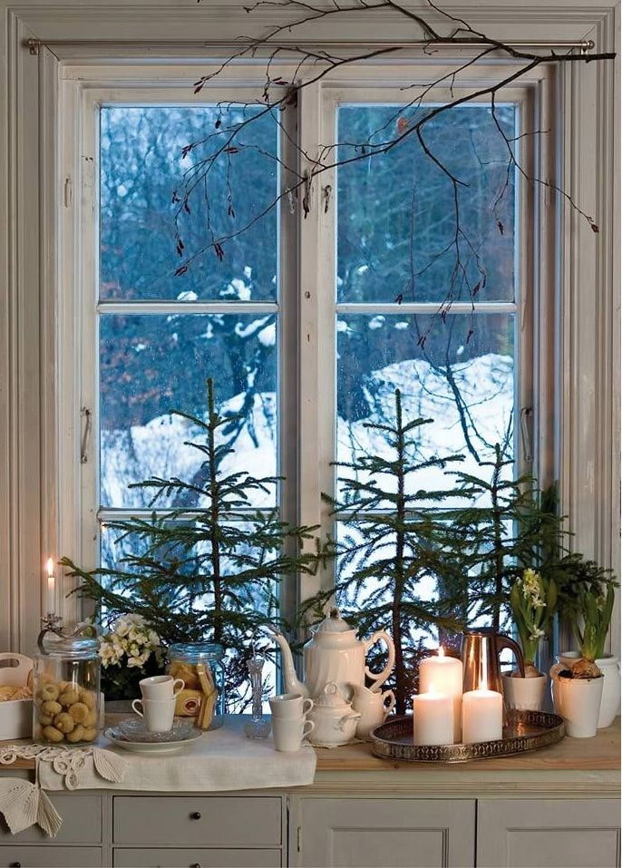 Levende juletræer på vindueskarmen