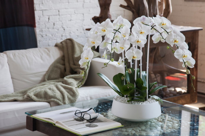 orkidé lavet af plastik på bordet