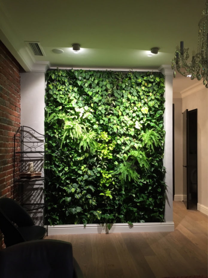 žalia siena koridoriuje