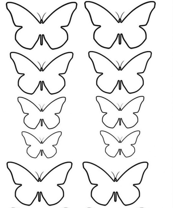 mô hình của những con bướm có kích thước khác nhau