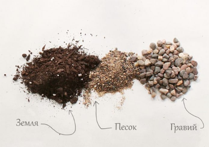 skład gleby na sukulenty