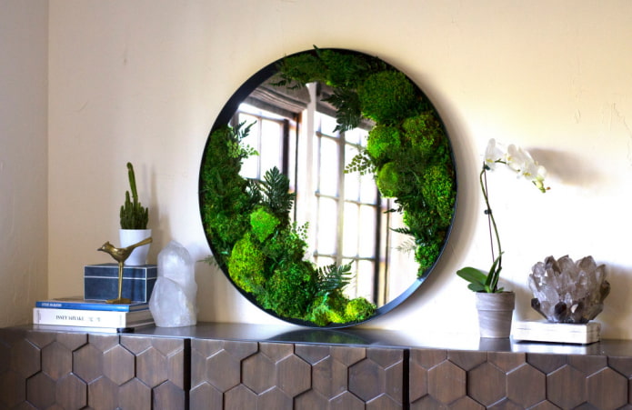 مرآة نباتية
