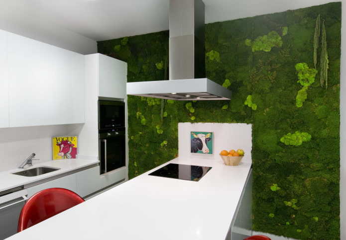 mur végétal dans la cuisine