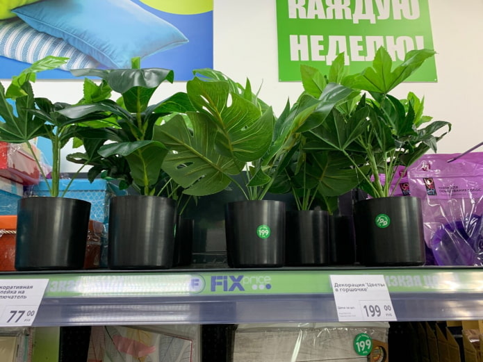 Plantes artificials