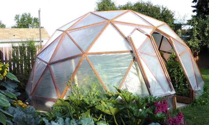 Greenhouse sa anyo ng isang geo-dome