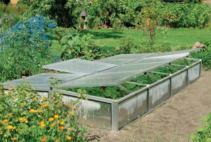 Mga greenhouse ng polycarbonate
