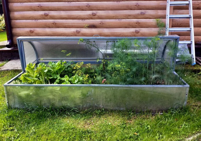 Greenhouse-breadbasket