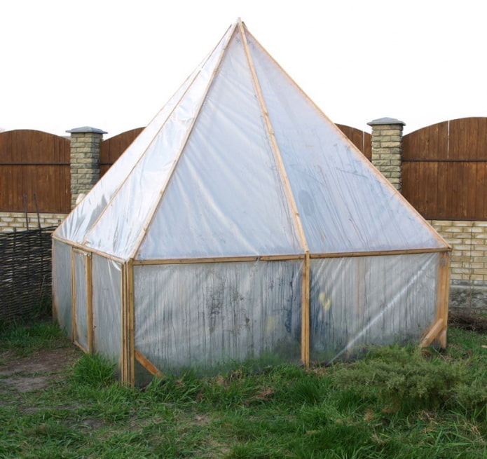Pyramidal greenhouse