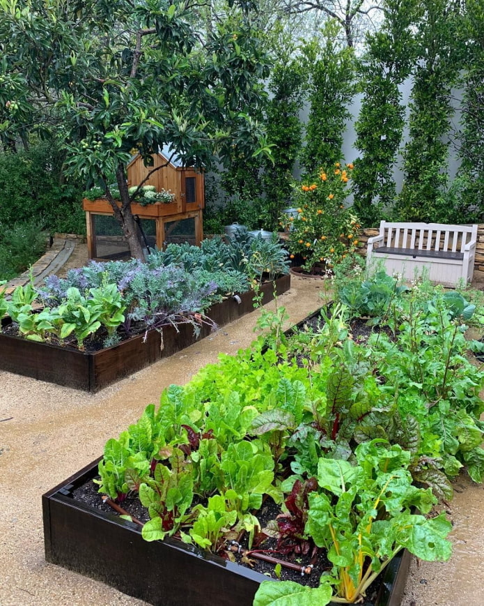 Zahradní lavice v zeleninové zahradě
