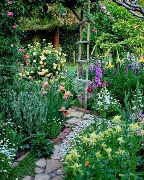 Pintoresc jardí