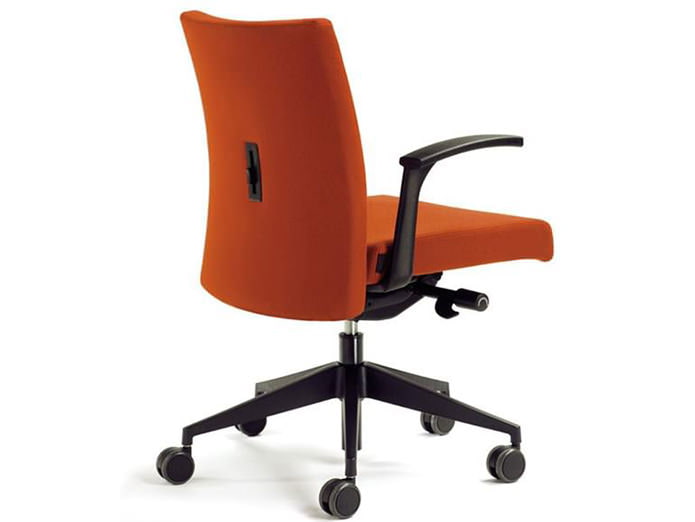 Respaldo i coixí vertebral a l’aparell d’una cadira d’oficina