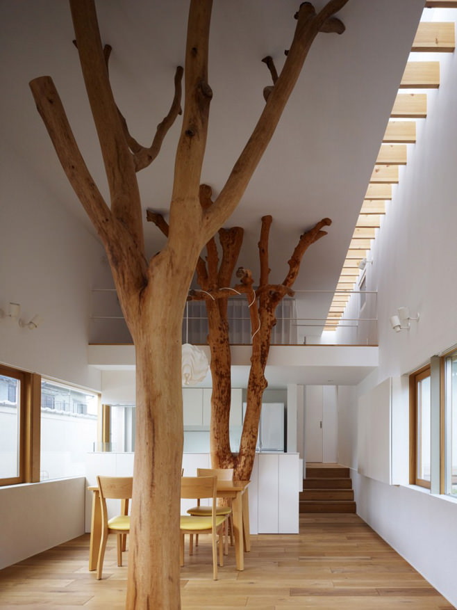 copac în interiorul casei