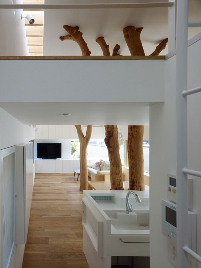 עצים בתוך הבית