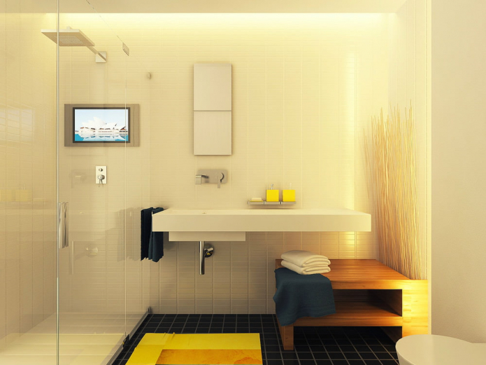 vonios kambarys studijos dizaino projekte 29 kv. m.