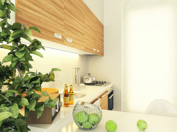 keuken in de studio ontwerpproject 29 m². m.