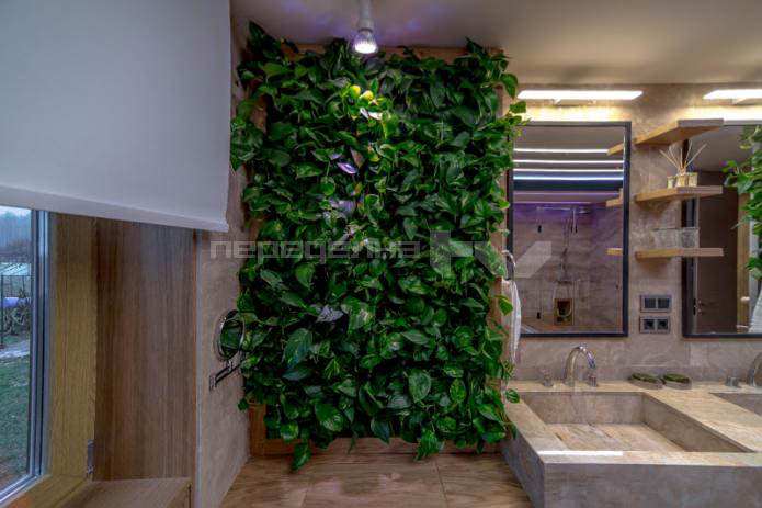 gyvi augalai ant sienų vonios interjere