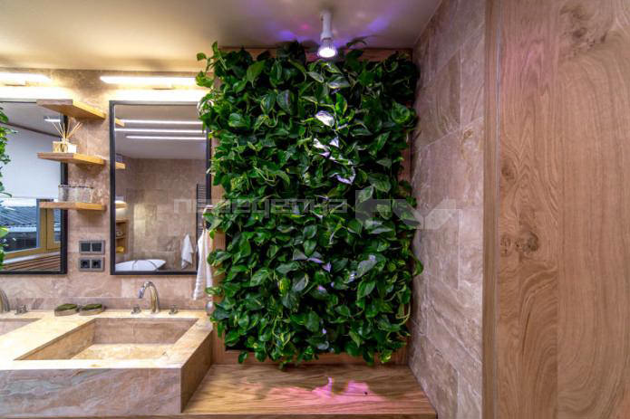 живи растения по стените в интериора на банята