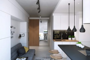 Thiết kế hiện đại của một căn hộ một phòng có diện tích 43 mét vuông. m. từ studio Geometrium