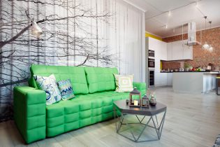 Disseny d'un apartament modern i elegant de 67 m². m.