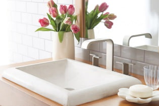 Een wastafel in de badkamer kiezen: installatiemethoden, materialen, vormen