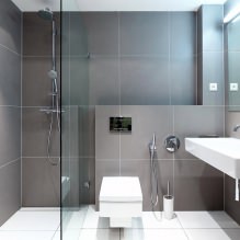 Pilkos plytelės vonios kambaryje: funkcijos, 1 nuotrauka