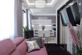 Appartement ontwerp 46 m² m. met een geïsoleerde slaapkamer