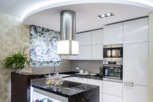 Sufit z płyt gipsowo-kartonowych w kuchni: projekt, zdjęcie