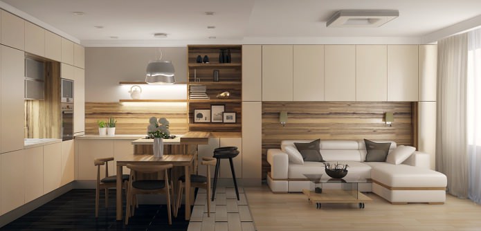 Ontwerp van een keuken-woonkamer in een appartement: 7 moderne projecten
