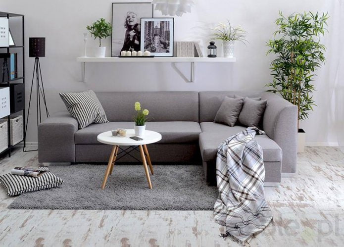 „Eurobook“ sofa: transformacijos mechanizmas, sofų tipai, nuotrauka