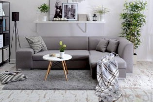 Sofa Eurobook: cơ chế chuyển đổi, các loại ghế sofa, ảnh