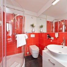 Kylpyhuoneen sisustus moderniin tyyliin: 60 parasta valokuvaa ja ideota suunnitteluun-11