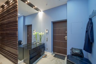 Πόσο όμορφο να φτιάξετε ένα διάδρομο σε ένα διαμέρισμα: ιδέες σχεδιασμού, διάταξη και διάταξη