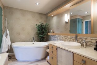 Tapetes vannas istabai: plusi un mīnusi, veidi, dizains, 70 fotogrāfijas interjerā
