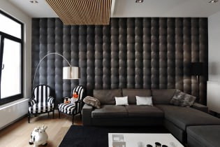 Hiasan dinding di ruang tamu: pilihan warna, kemasan, dinding aksen di pedalaman