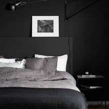 Design perete în dormitor: alegere de culori, opțiuni de finisare, 130 de fotografii în interior-1